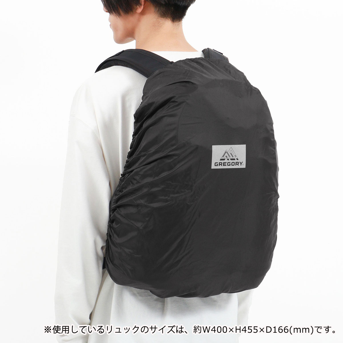 gregory リュック グレゴリー GREGORY リュック 22L オーバーヘッドデイ OVERHEAD