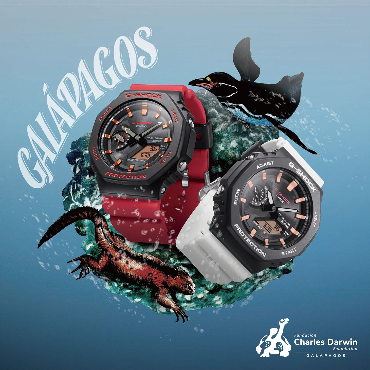 【国内配送】 未使用】CASIO チャールズ・ダーウィン財団コラボモデル G-SHOCK 時計