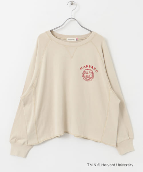セール55%OFF】『一部別注カラー』GOOD ROCK SPEED HARVARD