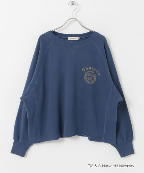 セール55%OFF】『一部別注カラー』GOOD ROCK SPEED HARVARD