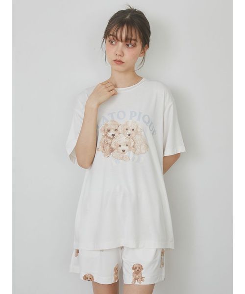 ラッピング済み】トイプードル柄ビッグTシャツ＆ショートパンツ