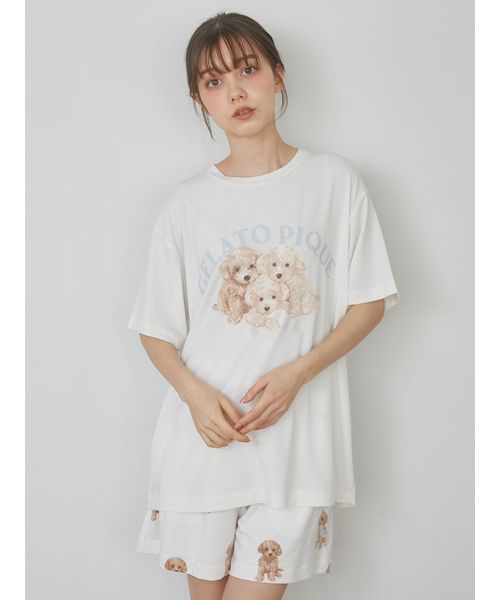 最終値下げ トイプードル柄ビッグTシャツ ショートパンツセット 最終値下げ トイプードル柄ビッグTシャツ ショートパンツセット