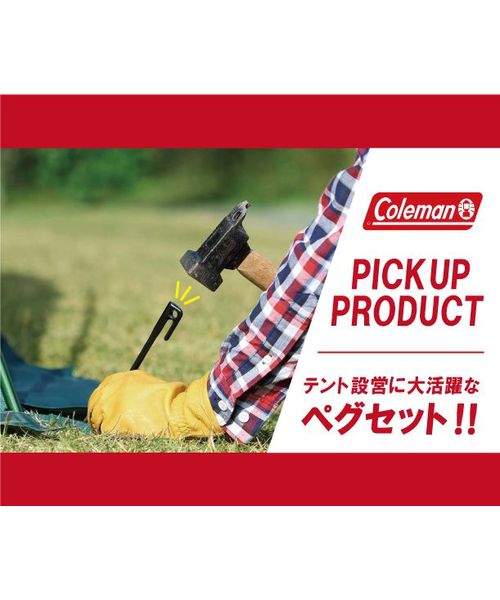 スチールソリッドペグ30cm／1PCの通販｜キャンプ用品の