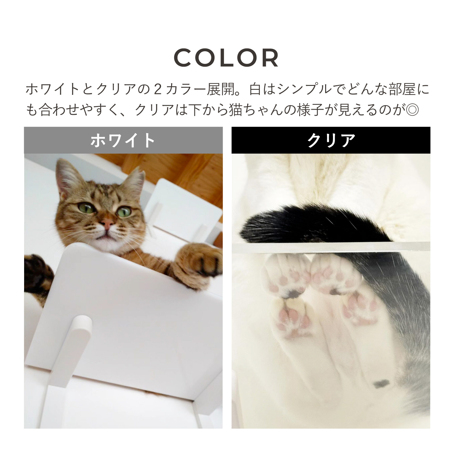 あーみ★CANDY猫トップス2点セット DOLK×Floral Garden×ふにゃほわ×MYOU DOLL】 Sandra 三毛猫