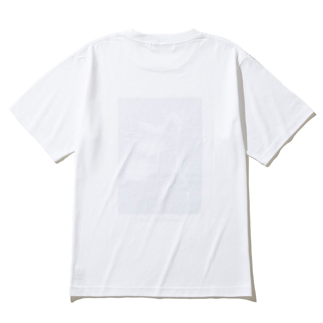 tシャツ Kinetics WOMEN Vaccinium corymbosum（キネティクスウィメン バクシニウム コリボーサム） レディース キネティクス Kinetics バクシニウム コリボーサム（Vaccinium
