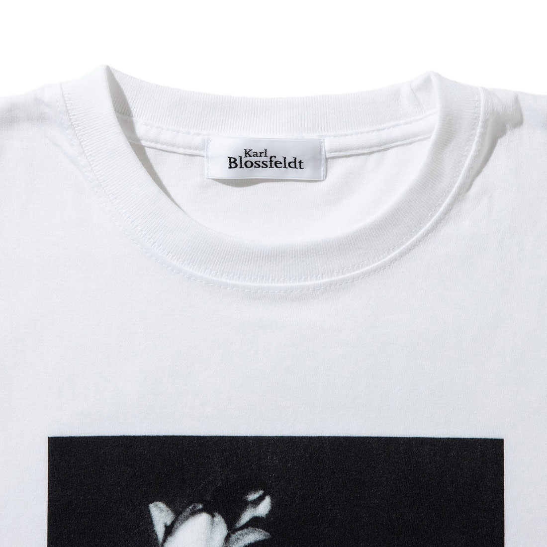 tシャツ Kinetics WOMEN Vaccinium corymbosum（キネティクスウィメン バクシニウム コリボーサム） レディース キネティクス Kinetics バクシニウム コリボーサム（Vaccinium