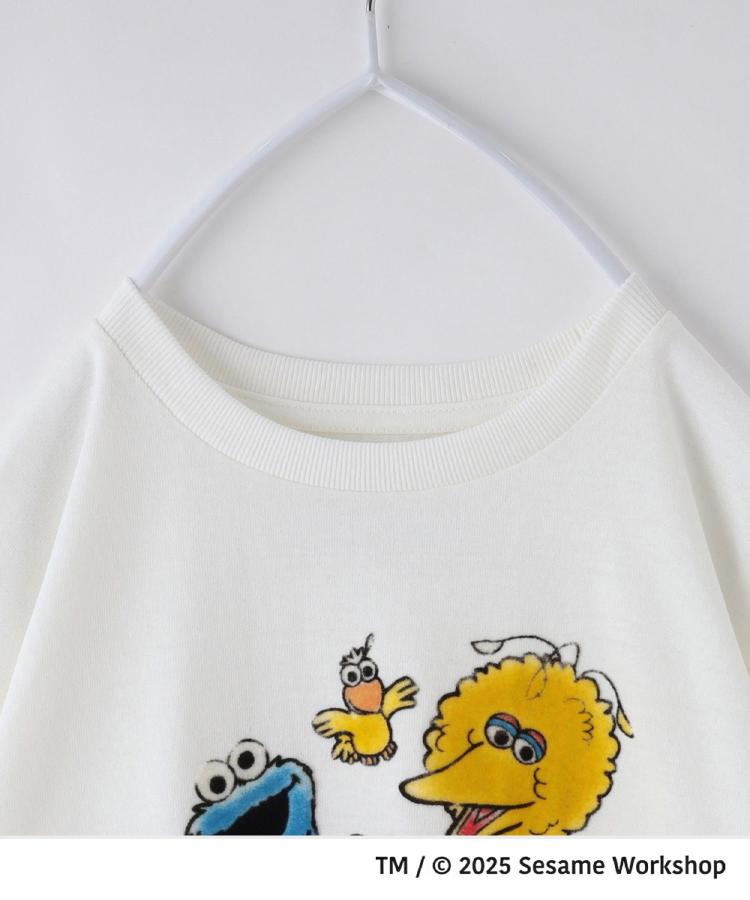 ザ ショップ ティーケー (キッズ) THE SHOP TK(Kids) 【110－160
