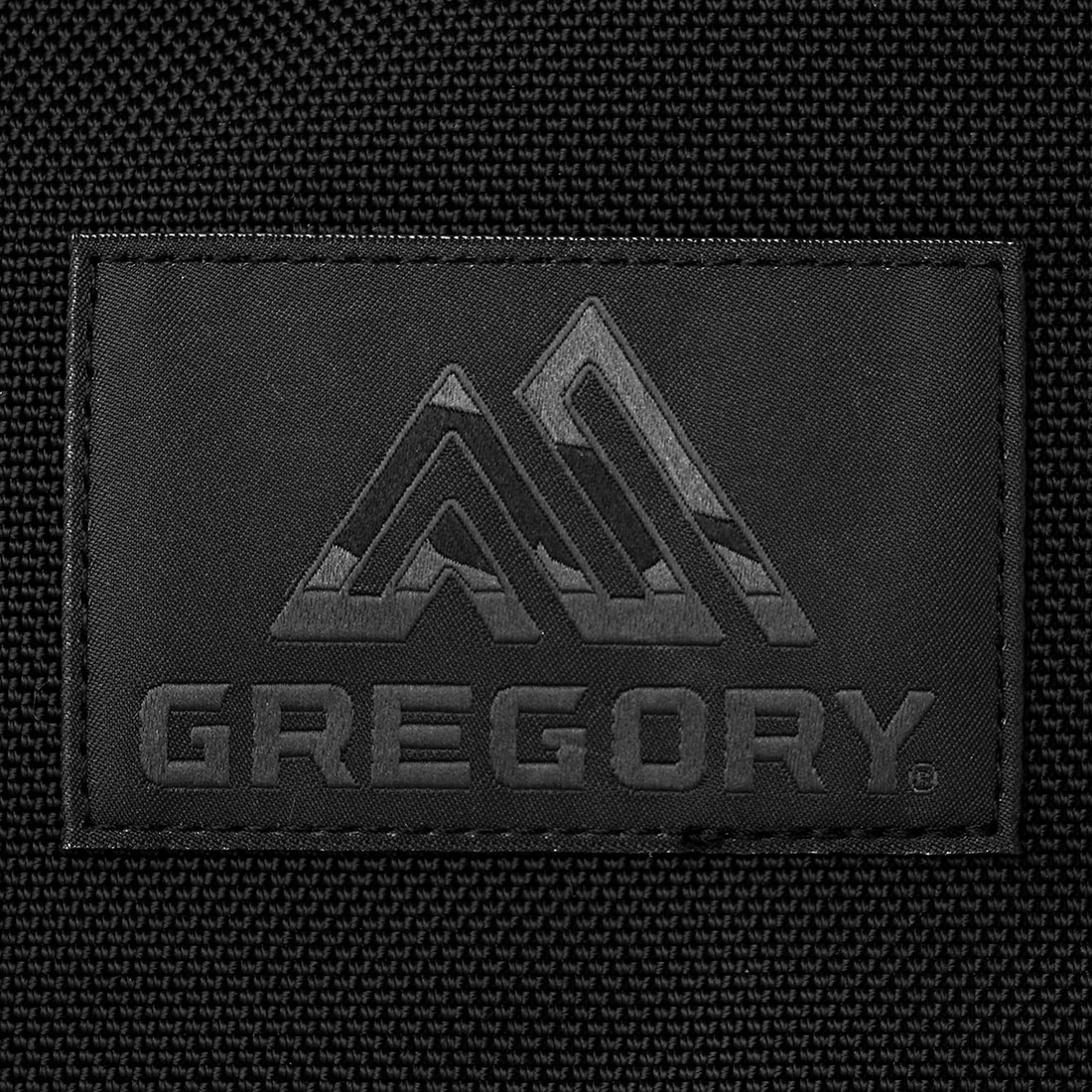 GREGORY 黒 リュック・バックパック GREGORY グレゴリー リュック バックパック バッグ 黒