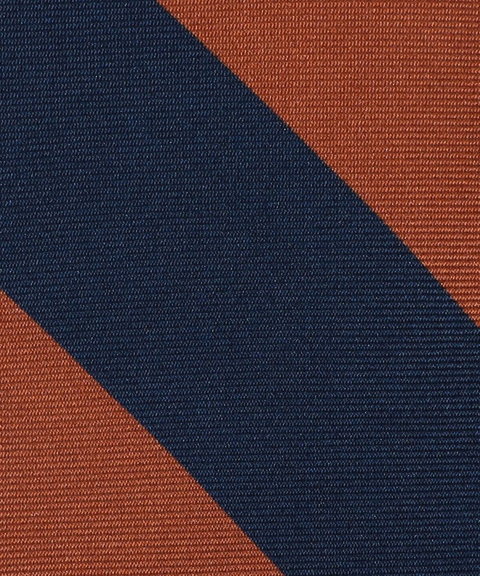 ERRICO FORMICOLA シルクプリント レジメンタルストライプ
