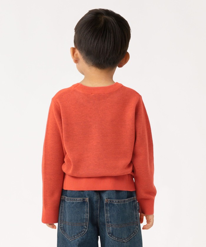 予約》SHIPS Colors:100～130cm/TeddyBear(R) ジャカード ニット