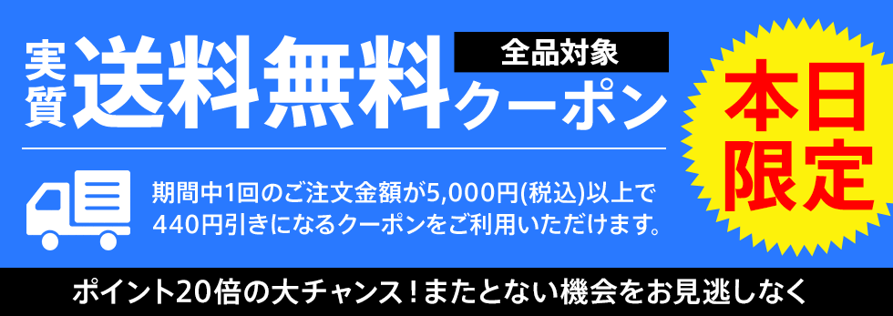 実質送料無料クーポンも使えます