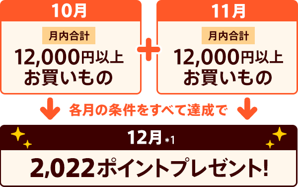 10月・11月それぞれ合計12,000円以上お買い物で12月に2022ポイントプレゼント