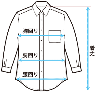 胸回り、胴回り、腰回り