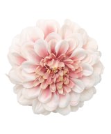 その他系1(サクラ)