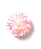 その他系1(サクラ)