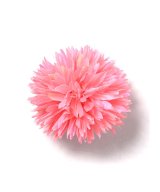 その他系3(ストロベリー)