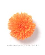 オレンジ系1