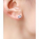 4月シルバー