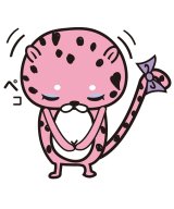ピンク系2