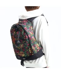 GREGORY/グレゴリー リュック GREGORY デイパック CLASSIC リュックサック DAY PACK クラシック/501387150