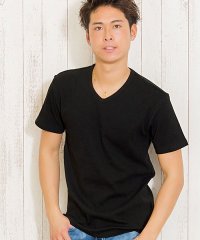 CavariA/CavariA【キャバリア】ネックが選べるスパンテレコ半袖Tシャツ/502317575