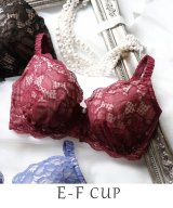 レッド(061)