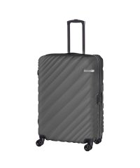 ACE DESIGNED BY ACE/エース デザインド バイ エース イン ジャパン ACE DESIGNED BY ACE IN JAPAN エース スーツケース 90L ー 111L 拡張機能/502516078