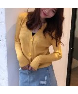 イエロー系1