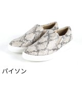 その他(パイソン)