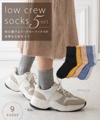 WYTHE/レディース ロークルーソックス 5足セット  靴下セット  ソックスセット/502852346