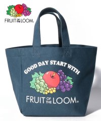 FRUIT OF THE LOOM/LUNCH TOTE BAG/502922936