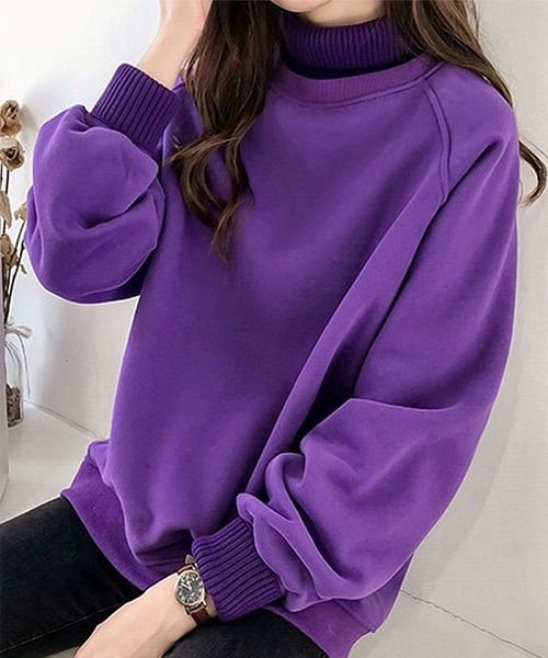 セール Tシャツ スウェット プルオーバー トレーナー レディース トップス 長袖 ハイネック カットソー 裏起毛 重ね着風 セイヘイショップ Seiheishop D Fashion セール Tシャツ スウェット プルオーバー トレーナー レディース トップス 長袖 ハイネック カットソー 裏起毛 重ね着風 セイヘイショップ Seiheishop D Fashion
