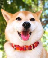 ピンク系1