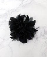 ブラック系1
