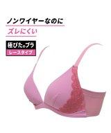 ジギタリスピンク