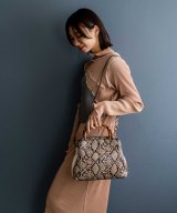 その他(パイソン)