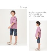 オルテガ柄
