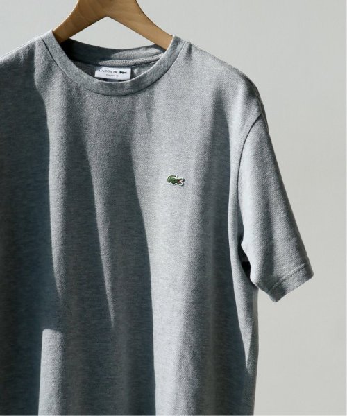 セール Lacoste ラコステ ワンポイント 鹿の子tシャツ Classic Fit 503093332 エディフィス Edifice D Fashion