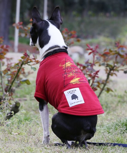 セール ドッグウエア 犬服 ペアルック ペットとお揃い 小型犬 中型犬 Licick リシック 8662 ロッキーモンロー Rocky Monroe D Fashion