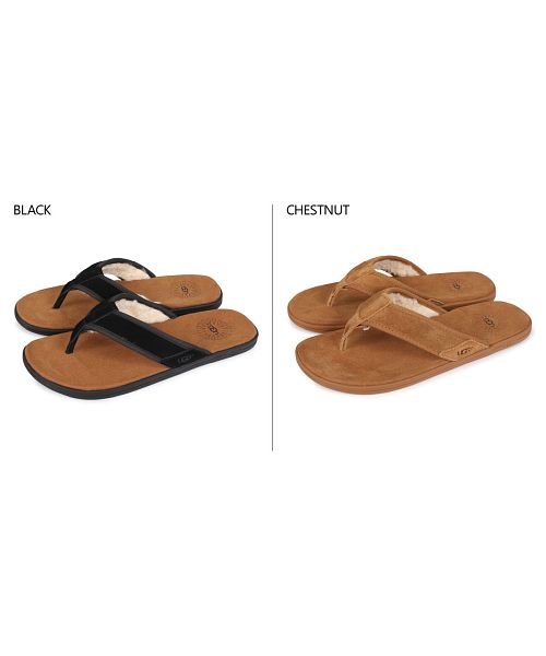 Ugg アグ サンダル ビーチサンダル シーサイド フリップ フロップ タスマニア メンズ Seaside Flip Flop Tasmania ブラック ブラ アグ Ugg D Fashion Ugg アグ サンダル ビーチサンダル シーサイド フリップ フロップ タスマニア メンズ Seaside Flip Flop Tasmania ブラック ブラ アグ Ugg D Fashion