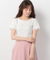 シロ