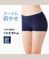ナイトシャドウブルー