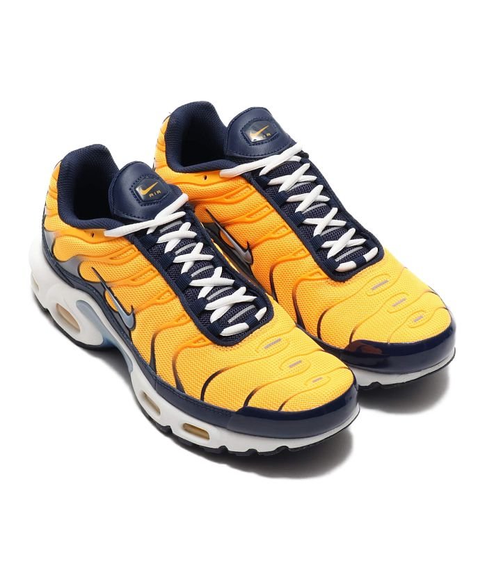 ナイキ エアマックス プラス (メンズスニーカー) 価格比較