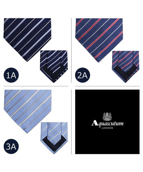 アクアスキュータム Aquascutum ネクタイ イタリア製 シルク ビジネス 結婚式 メンズ アクアスキュータム Aquascutum D Fashion