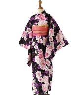 その他系11(光彩華綴り)