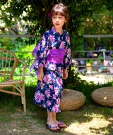 その他系16(セパレート×サクラ蝶)