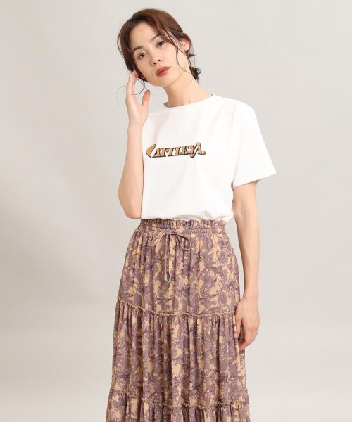 セール Musee Cattleyaロゴtシャツ クリアインプレッション Clear Impression D Fashion