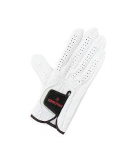 BRIEFING GOLF/ブリーフィング BRIEFING 【日本正規品】ブリーフィング ゴルフ グローブ 右手用 BRIEFING GOLF WOMENS PREMIUM LEATHE/503398396