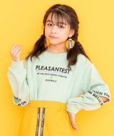 ミント