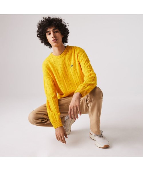 ケーブル編みニットセーター ラコステ メンズ Lacoste Mens D Fashion